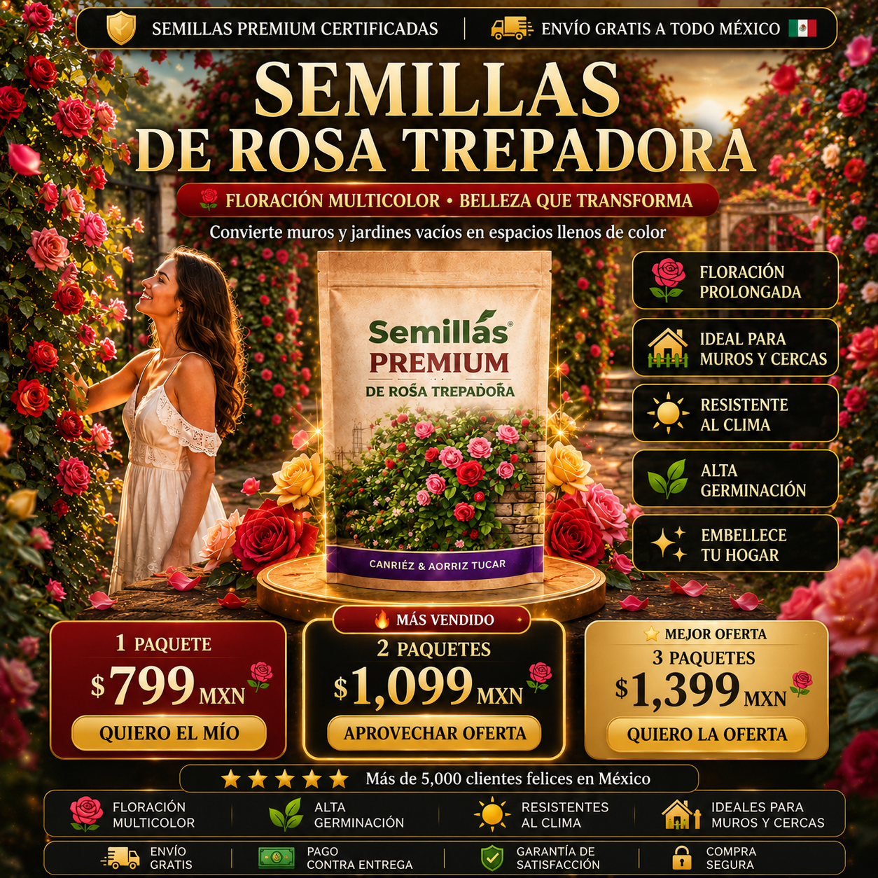 🌹 Semillas de Rosa Trepadora – Convierte Muros y Jardines Vacíos en Espacios Llenos de Color