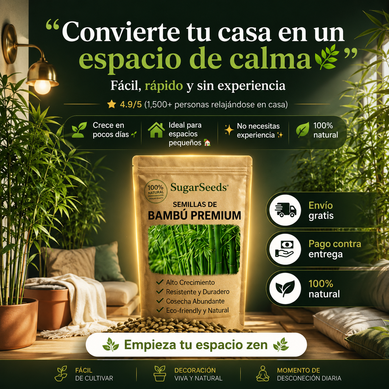Crea tu Oasis Zen: Semillas de Bambú Premium de Crecimiento Rápido para un Hogar Relajante